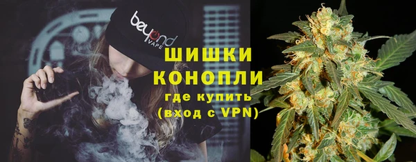индика Новый Уренгой