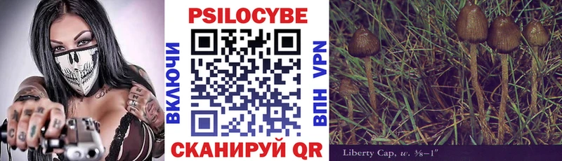 Псилоцибиновые грибы Psilocybe  где можно купить наркотик  Динская 